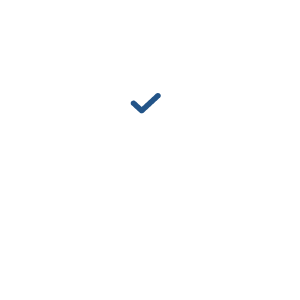 Hand Shake Icon